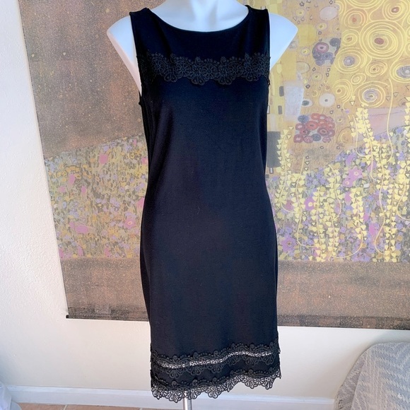 The Limited Beautiful lace detailed dress. - Picture 1 of 7
